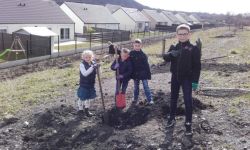 Plantations Cavalier   012